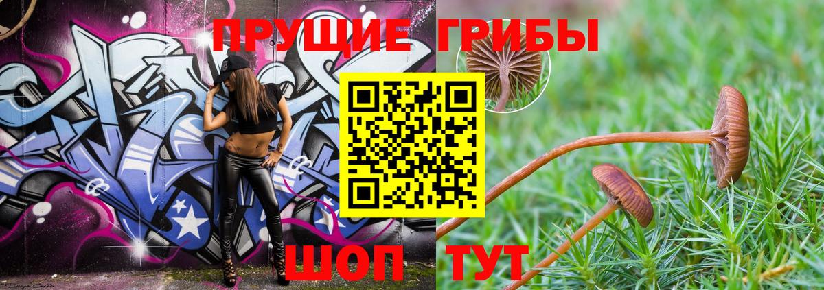 Псилоцибиновые грибы мицелий Семёнов