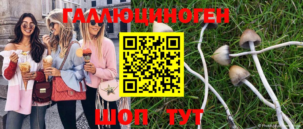 Галлюциногенные грибы Psilocybe  Псилоцибиновые грибы Magic Shrooms  Семёнов  Вход с VPN 